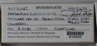 Image Associated With the Occurence